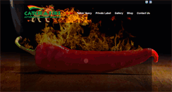 Desktop Screenshot of catchafirespicy.com